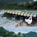 黄山旅游 缩略图 3