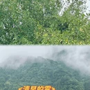 黄山旅游 缩略图 14