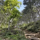 萍乡旅游 缩略图 4