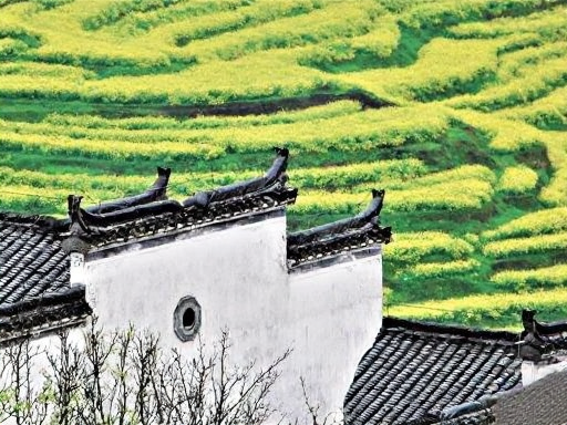 黄山旅游