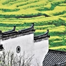 黄山旅游 缩略图 1