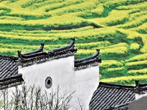 黄山旅游 1