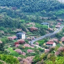 宁波旅游 缩略图 3