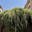 临沂旅游 缩略图 3