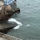 舟山旅游 缩略图 2