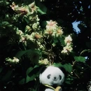 宁波旅游 缩略图 7