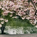 北京旅游 缩略图 4