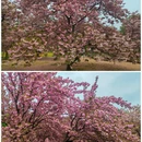 北京旅游 缩略图 11