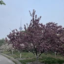 北京旅游 缩略图 3
