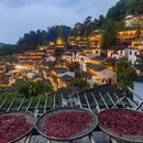 黄山旅游 缩略图 17
