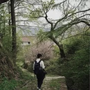 宁波旅游 缩略图 8