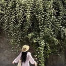 临沂旅游 缩略图 2