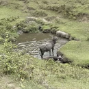 阳江旅游 缩略图 13