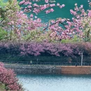 宁波旅游 缩略图 2