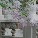 北京旅游 缩略图 16