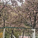 北京旅游 缩略图 14