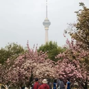 北京旅游 缩略图 2