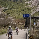 宁波旅游 缩略图 12