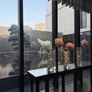 苏州旅游 缩略图 4