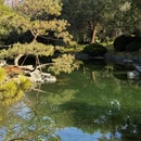 上海旅游 缩略图 8