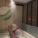 苏州旅游 缩略图 16