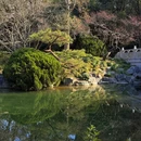 上海旅游 缩略图 3