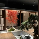 宁波旅游 缩略图 18