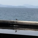 深圳旅游 缩略图 4