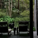 成都旅游 缩略图 6