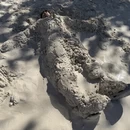 三亚旅游 缩略图 4