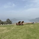 黄山旅游 缩略图 3