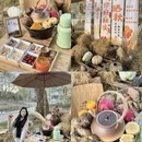 宣城旅游 缩略图 4