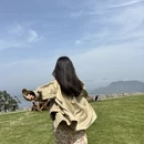 黄山旅游 缩略图 4