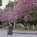 成都旅游 缩略图 13