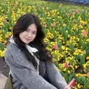 上海旅游 缩略图 5
