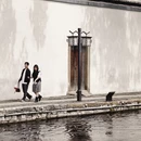 湖州旅游 缩略图 11