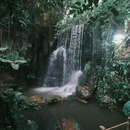 广州旅游 缩略图 15