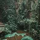 广州旅游 缩略图 12