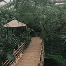 广州旅游 缩略图 13