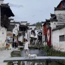 上饶旅游 缩略图 12