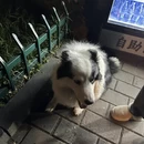 南京旅游 缩略图 1