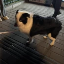南京旅游 缩略图 4