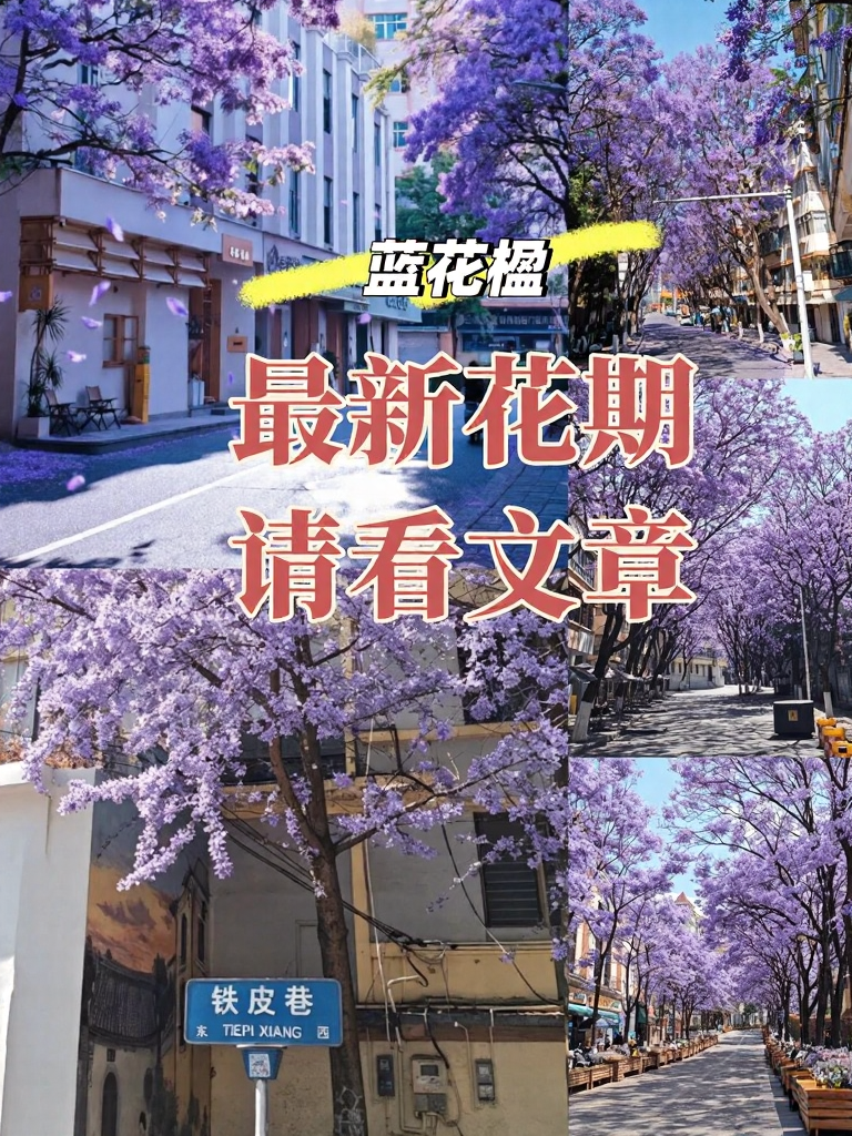 昆明旅游