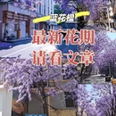 昆明旅游 缩略图 1