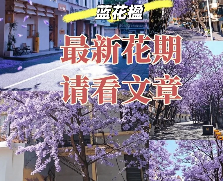 昆明旅游 1