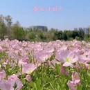 成都旅游 缩略图 2