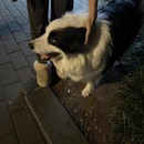 南京旅游 缩略图 3