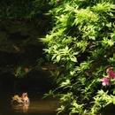杭州旅游 缩略图 14