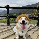 上饶旅游 缩略图 5
