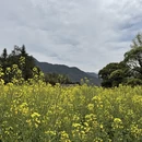 上饶旅游 缩略图 9
